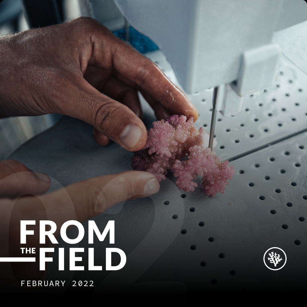 FROM THE FIELD - FEBURARY 2022