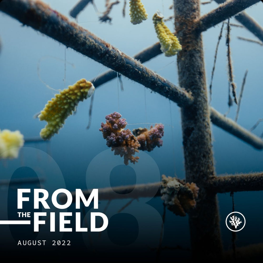 FROM THE FIELD - AUGUST 2022