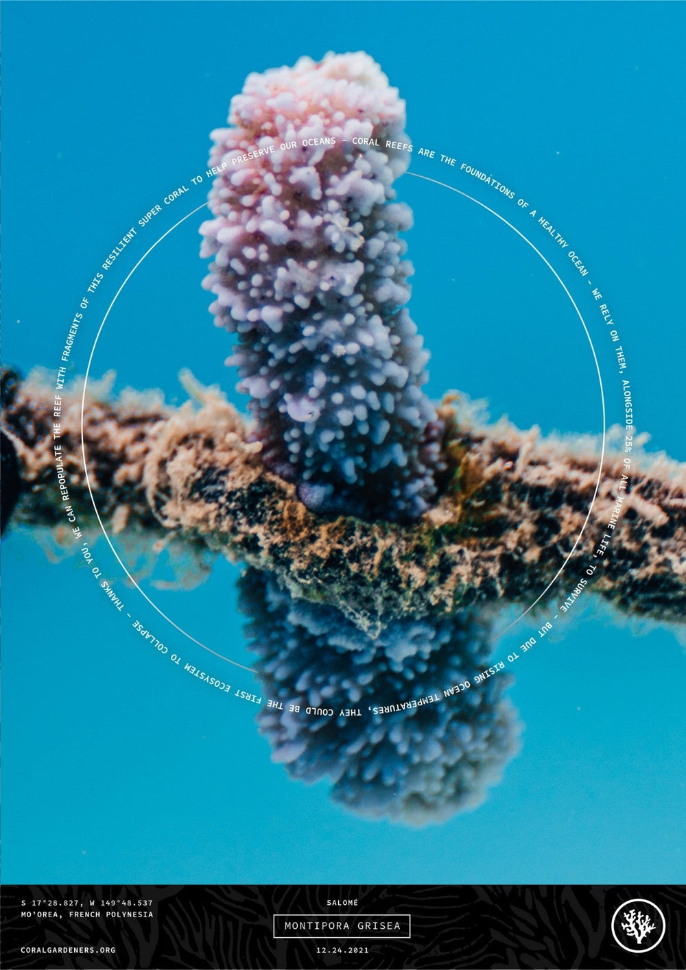 Tribute Technology - Plant a Memorial Coral