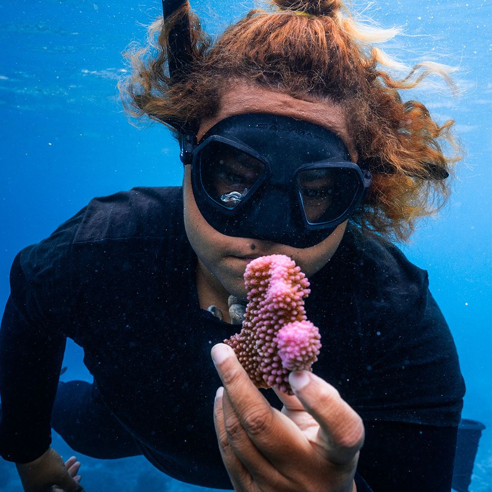 ADOPT A CORAL