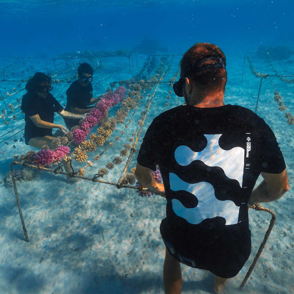 POLYP TEE