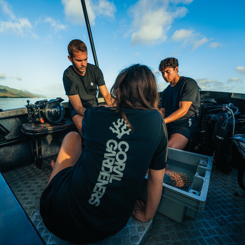 REEF UP TEE - BLACK