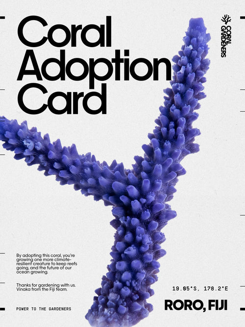 ADOPT A CORAL